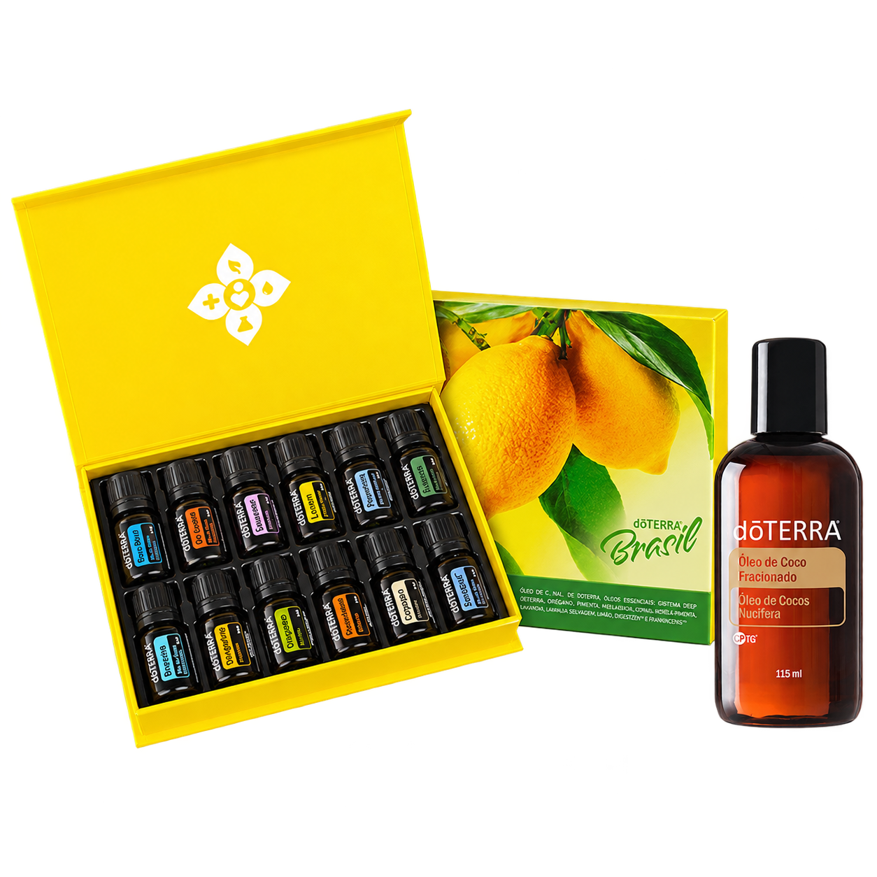 Kit Living + Óleo de Coco Fracionado